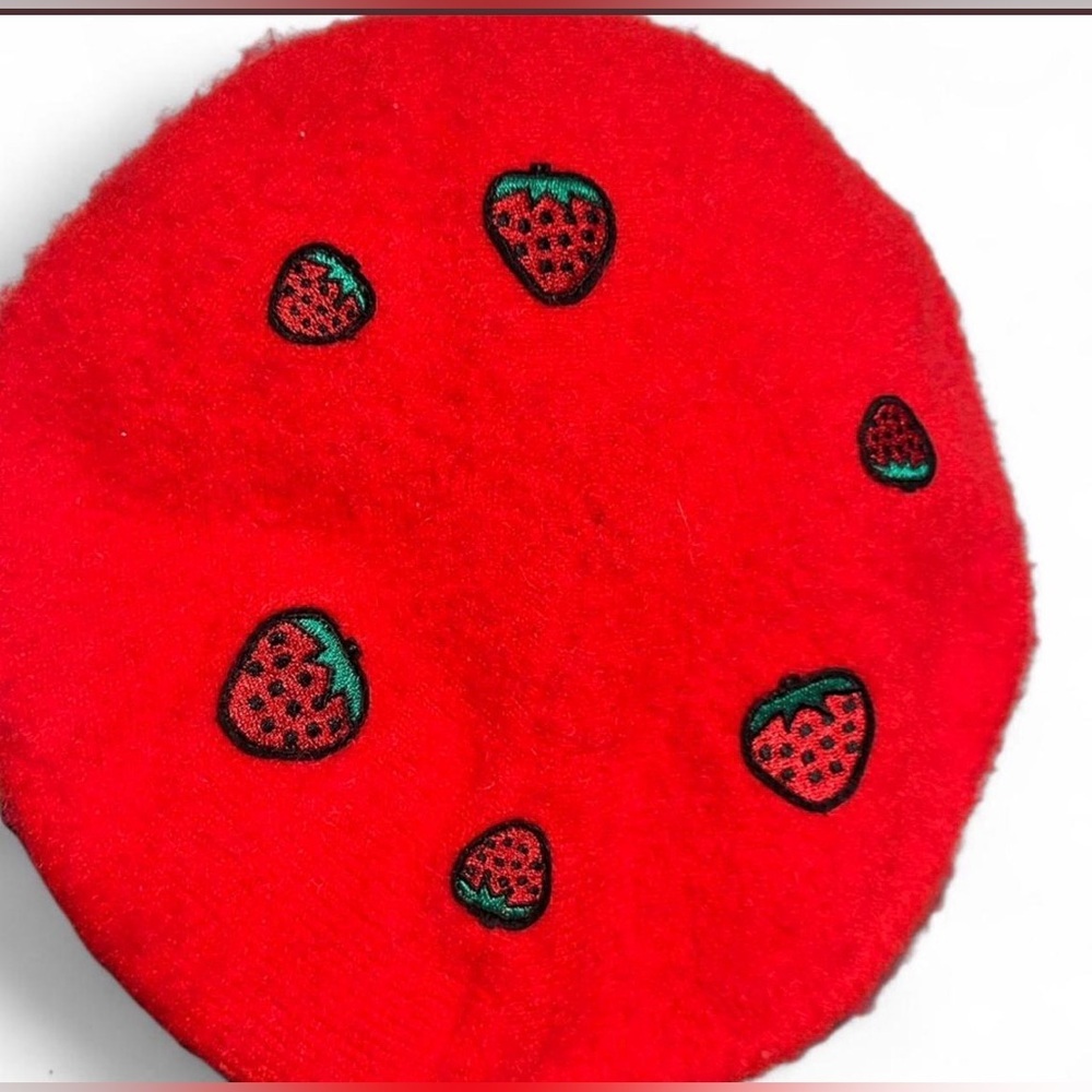 Wild Fable Red Strawberry Embroidered Beret